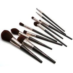 Brush Set in Case CHOCOLATE