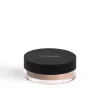 Perfect Finish Loose Powder 4g